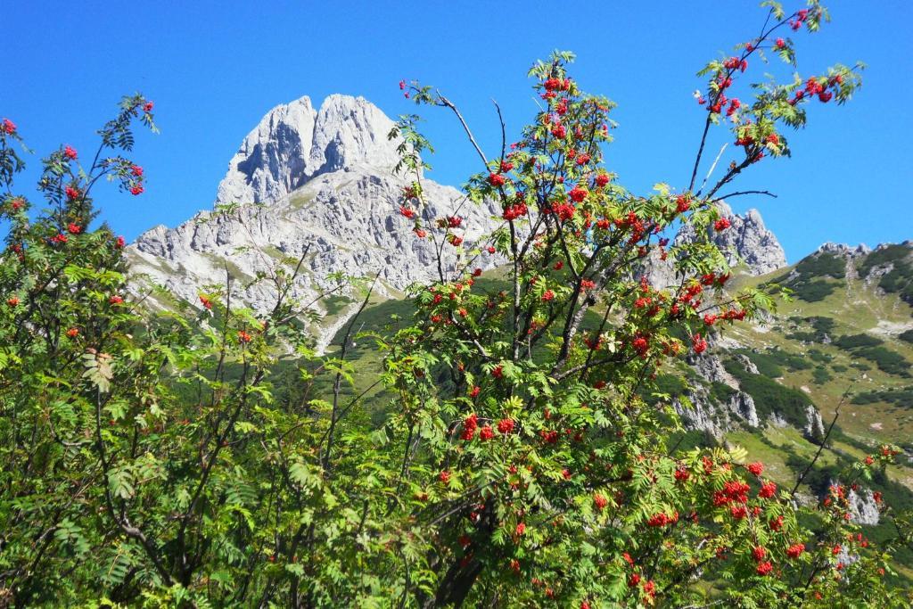 Ferienhaus Abendstille Ramsau am Dachstein Rum bild