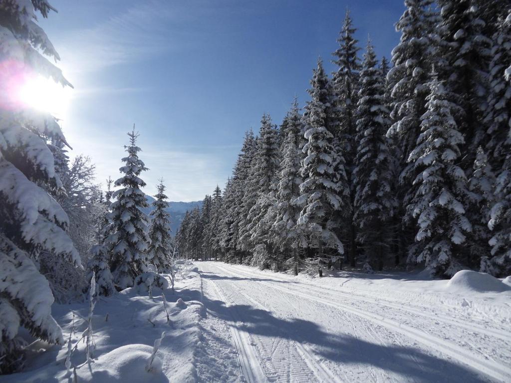 Ferienhaus Abendstille Ramsau am Dachstein Exteriör bild